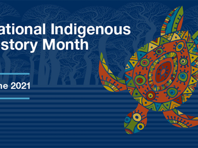 60ba2acc2a76c_ir-national-indigenous-history-month.png
