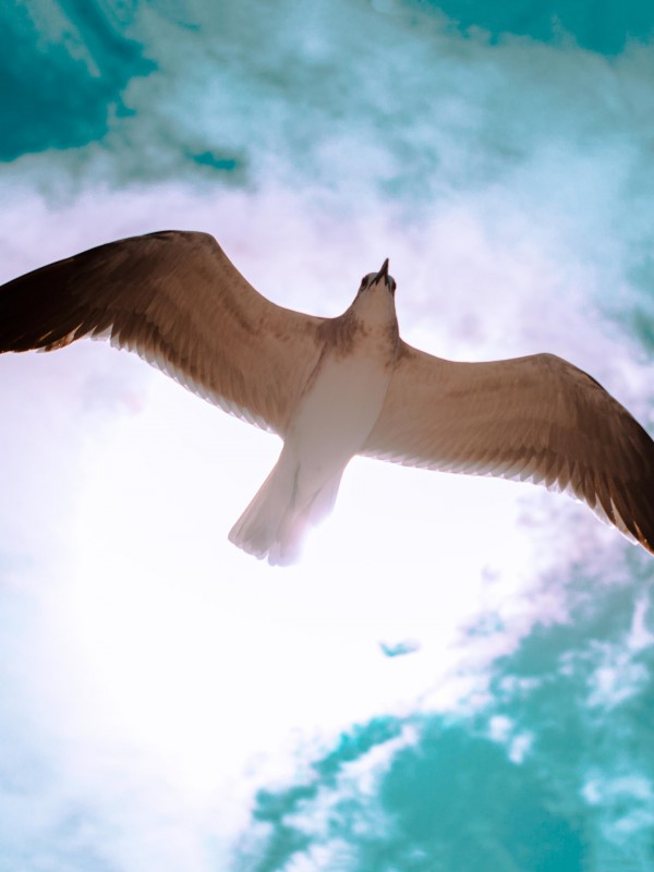 January 11 2026 Worship