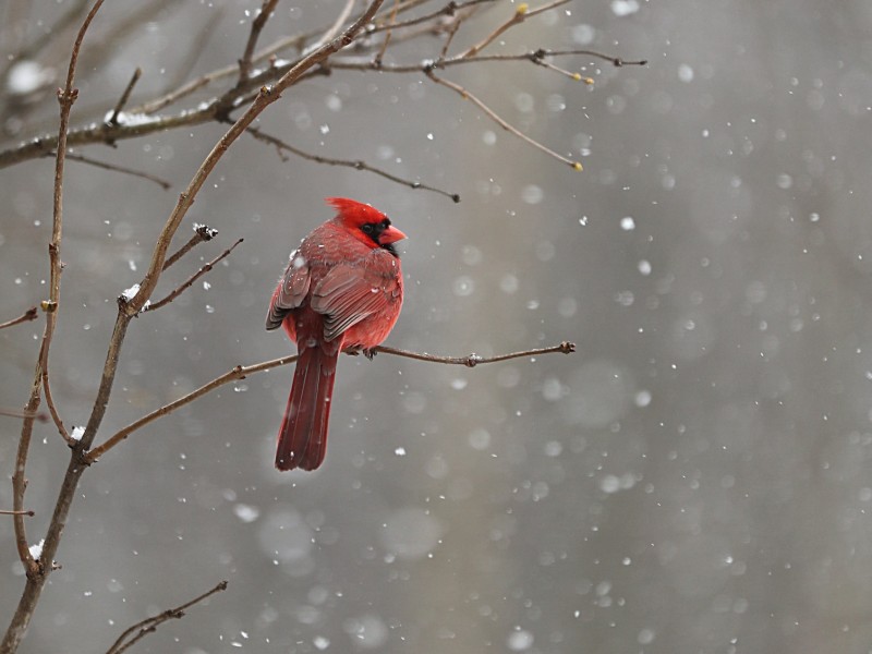 March 1 2026 Worship